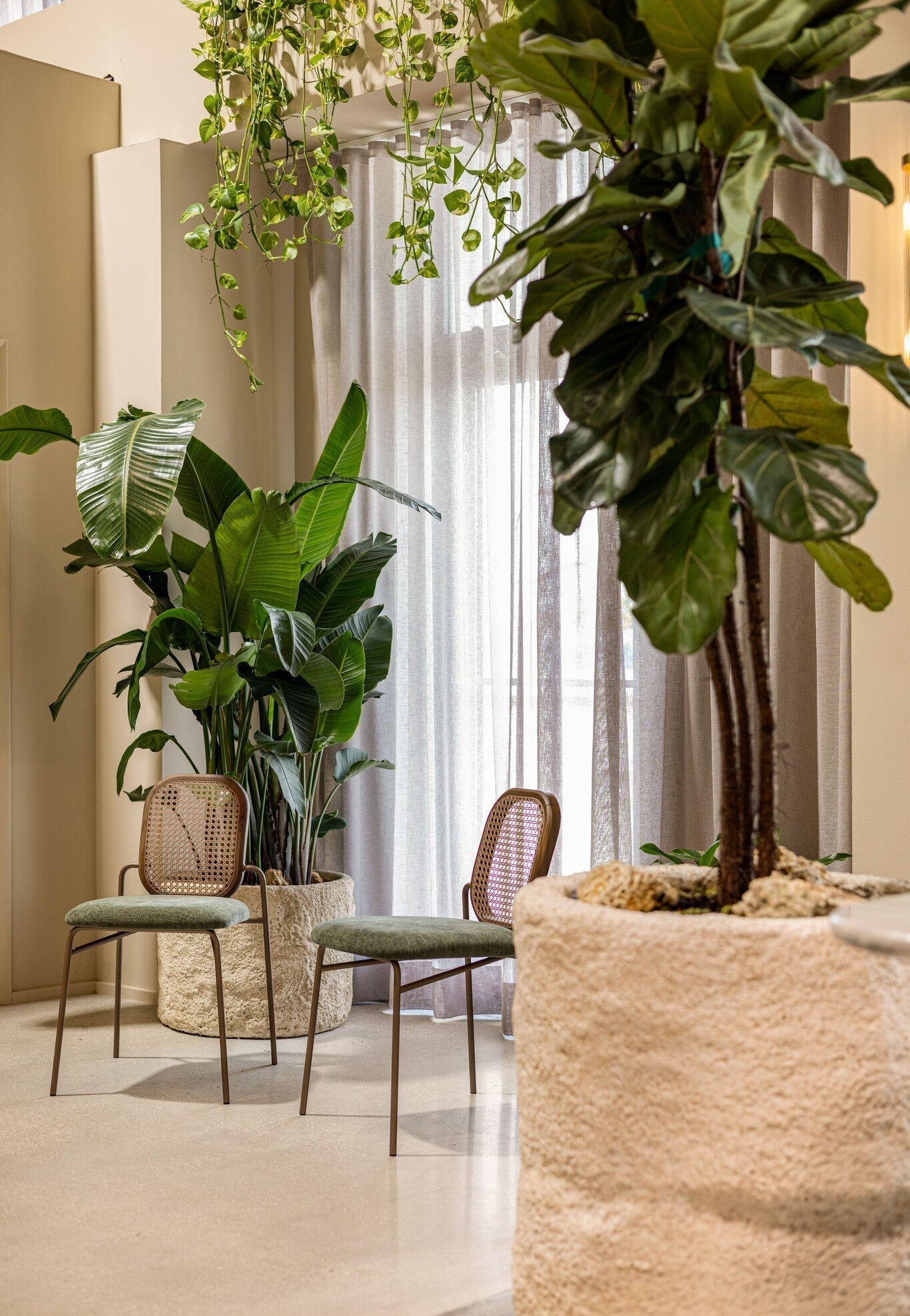 Dafne Beauty House by Paula Ambrósio