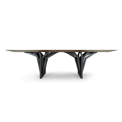 RADI - MH9021 - DINING TABLE (118 x 47 x 29)