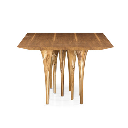 PIN - MH9020 - DINING TABLE (118 x 47 x 29)