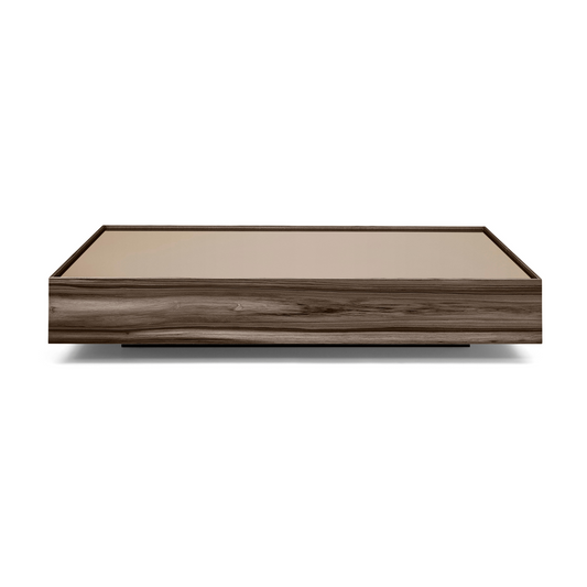 ARC - MH2897 - COFFEE TABLE (70 x 35 x 8)