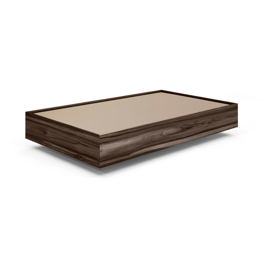 ARC - MH2897 - COFFEE TABLE (70 x 35 x 8)