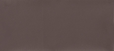 Chocolate Brown