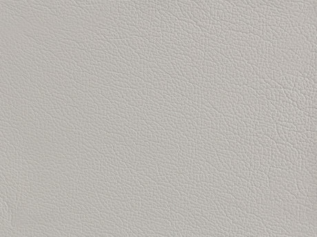 Soft Neutral Beige