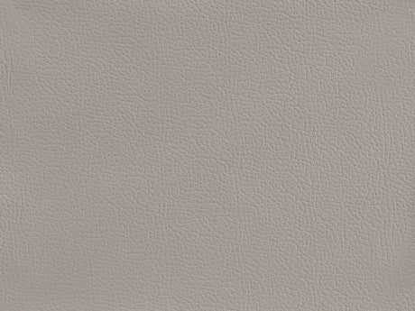 Warm Beige