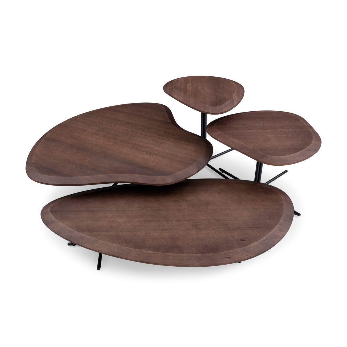 PANTE Coffee Table in Walnut and Black 24”