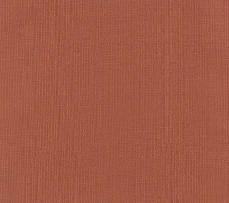 Squash Orange