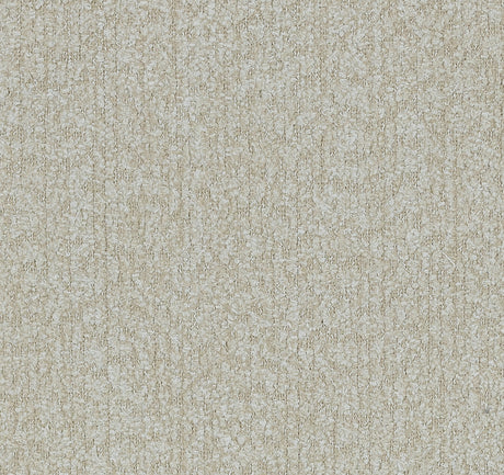 Beige Boucle